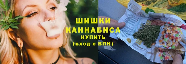 прущая мука Инсар