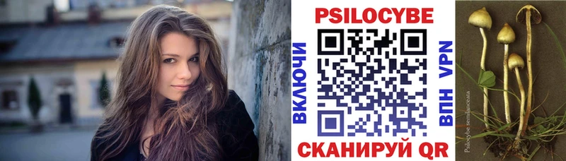 Галлюциногенные грибы Psilocybine cubensis  Струнино 